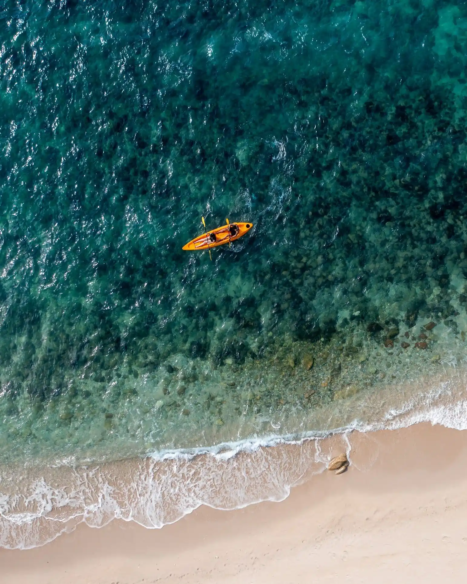 Kayak & SUP Board